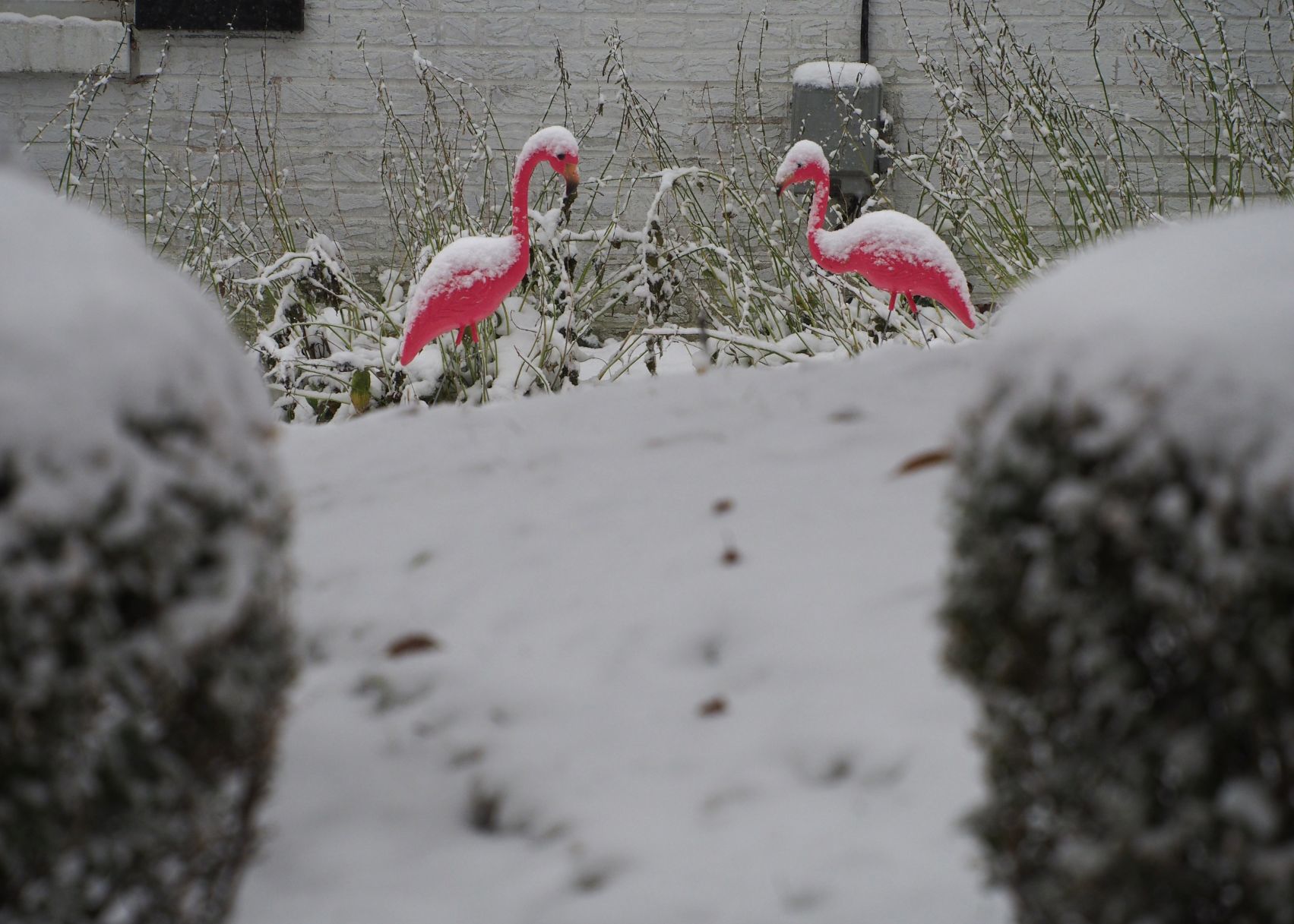 Snow in Ferguson